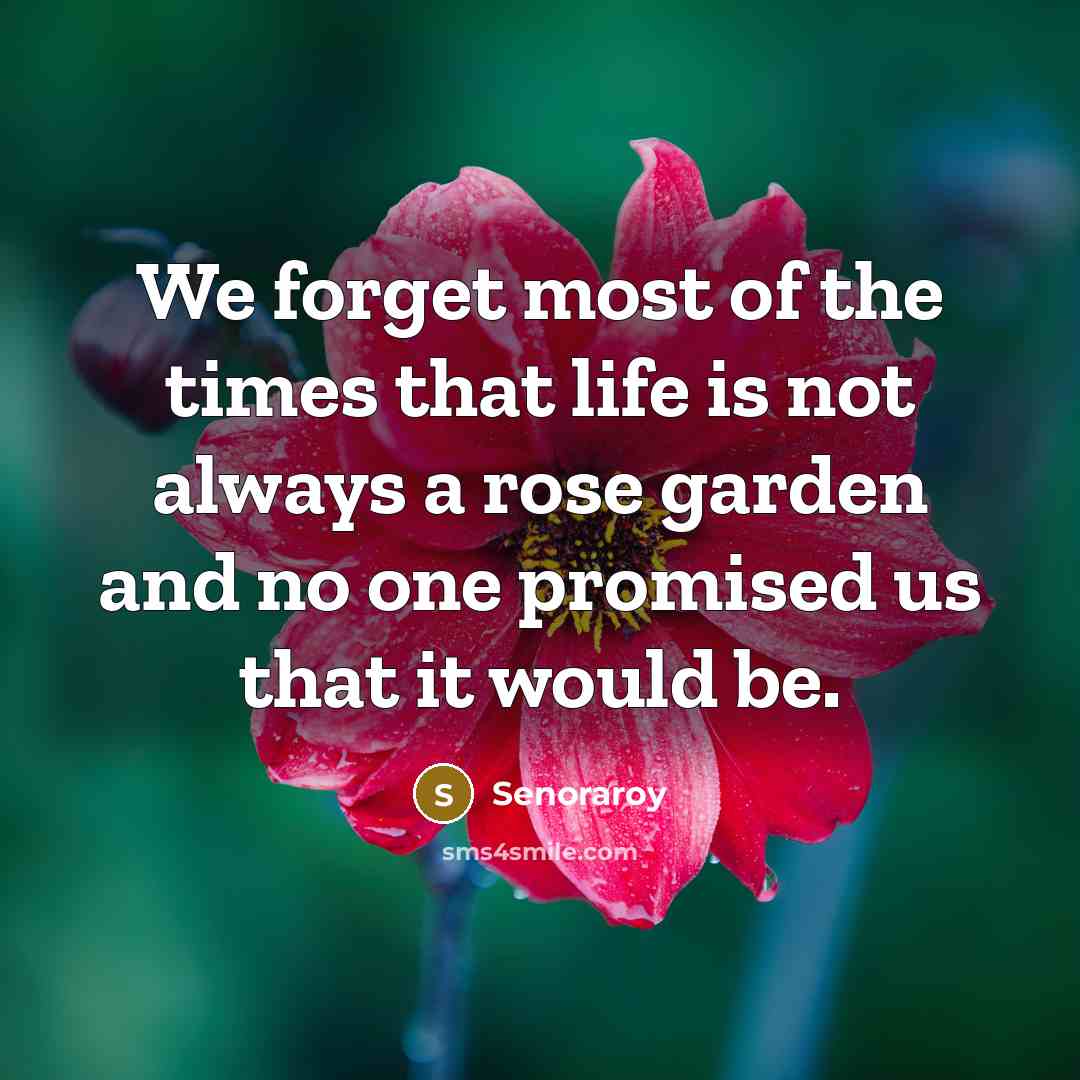 “We forget most of the times that life is not…” quote by Senoraroy