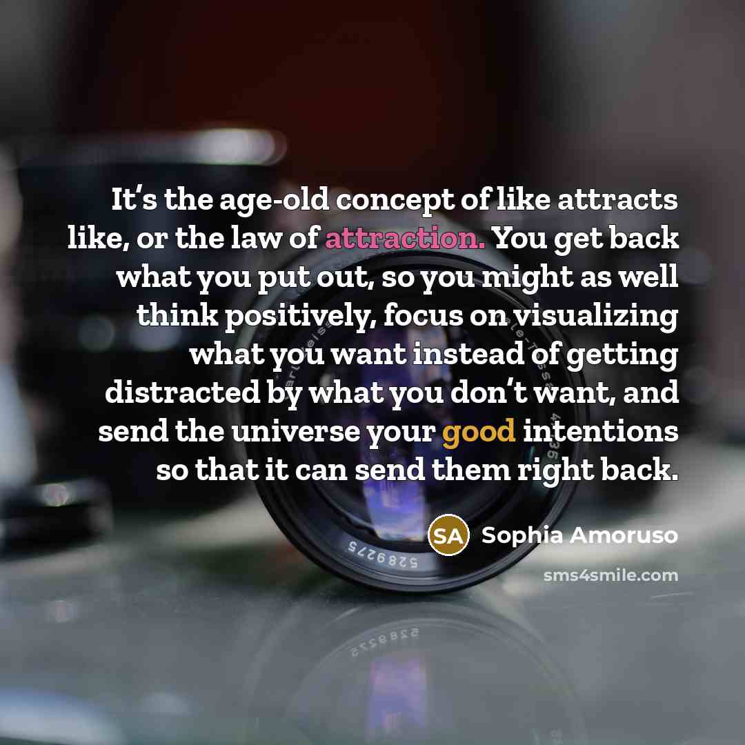 “It’s the age-old concept of like attracts like, or the…” quote by Sophia Amoruso