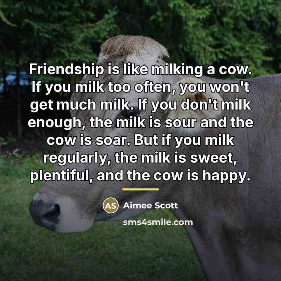 “Friendship is like milking a cow. If you milk too…” quote by Aimee Scott