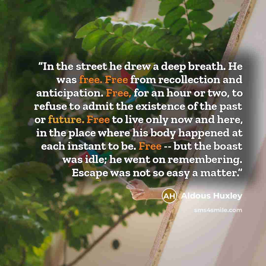“In the street he drew a deep breath. He was free. Free from recollection and anticipation. Free, for an hour or two, to refuse to admit the existence of the past or future. Free to live only now and here, in the place where his body happened at each instant to be. Free -- but the boast was idle…” quote by Aldous Huxley