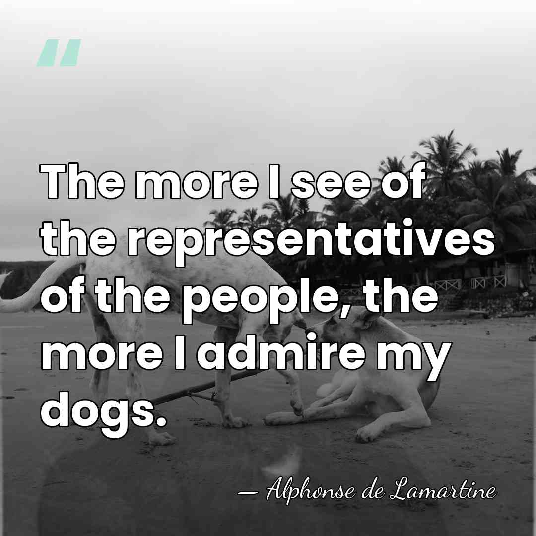 The more I see of the representatives of the people, the more&hellip; - Alphonse de Lamartine