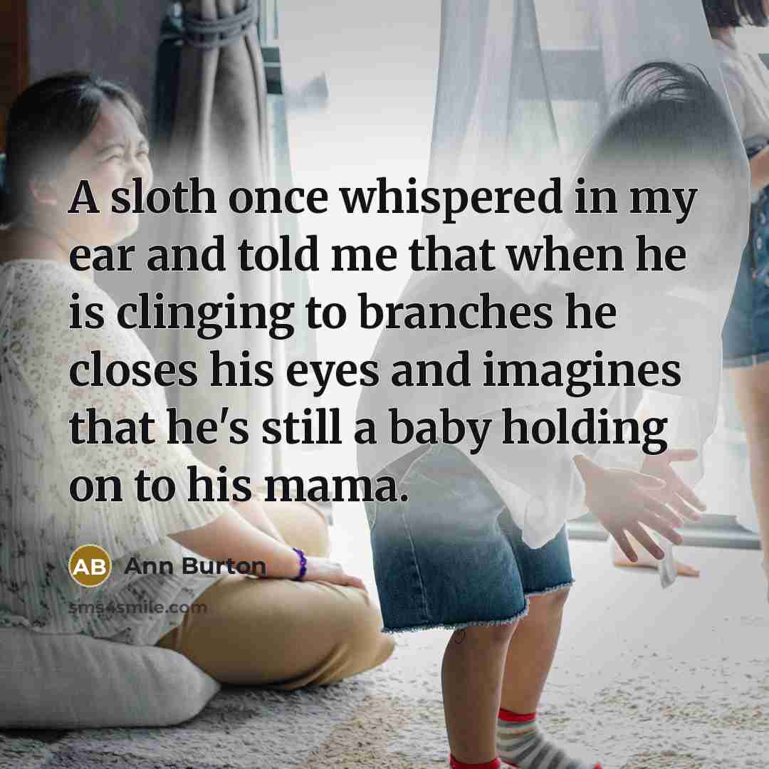 “A sloth once whispered in my ear and told me…” quote by Ann Burton