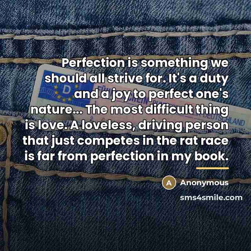 “Perfection is something we should all strive for. It's a…” quote by Anonymous