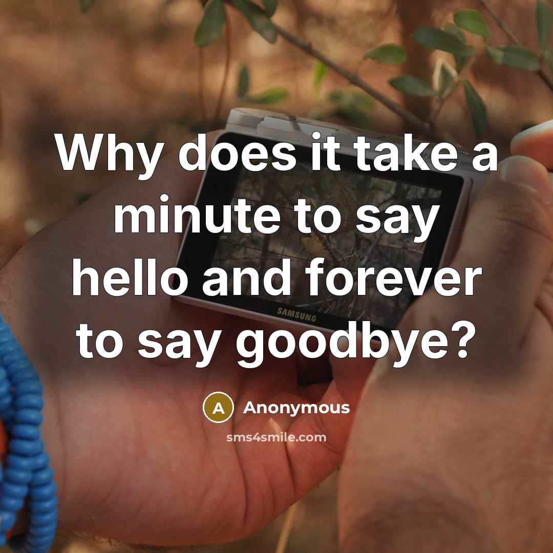 “Why does it take a minute to say hello and forever to say goodbye?” quote by Anonymous