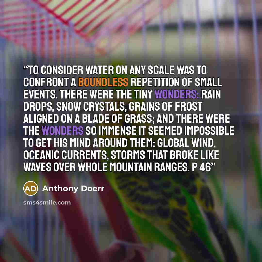 “To consider water on any scale was to confront a boundless repetition of small events. There were the tiny wonders: rain drops, snow crystals, grains of frost aligned on a blade of grass; and there were the wonders so immense it seemed impossible to get his mind around them: global wind, oceanic…” quote by Anthony Doerr