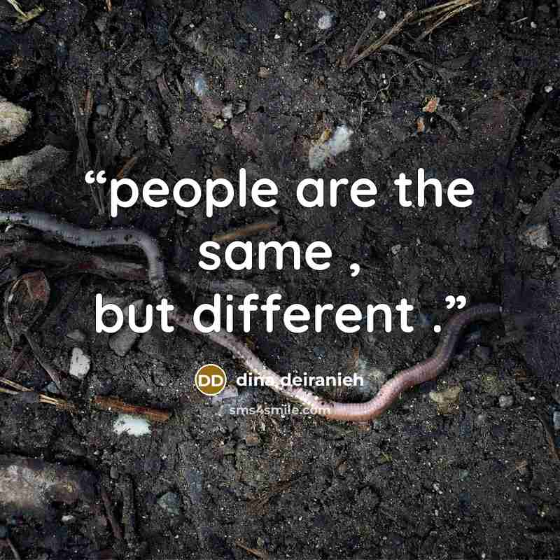 “people are the same , but different .” quote by dina deiranieh