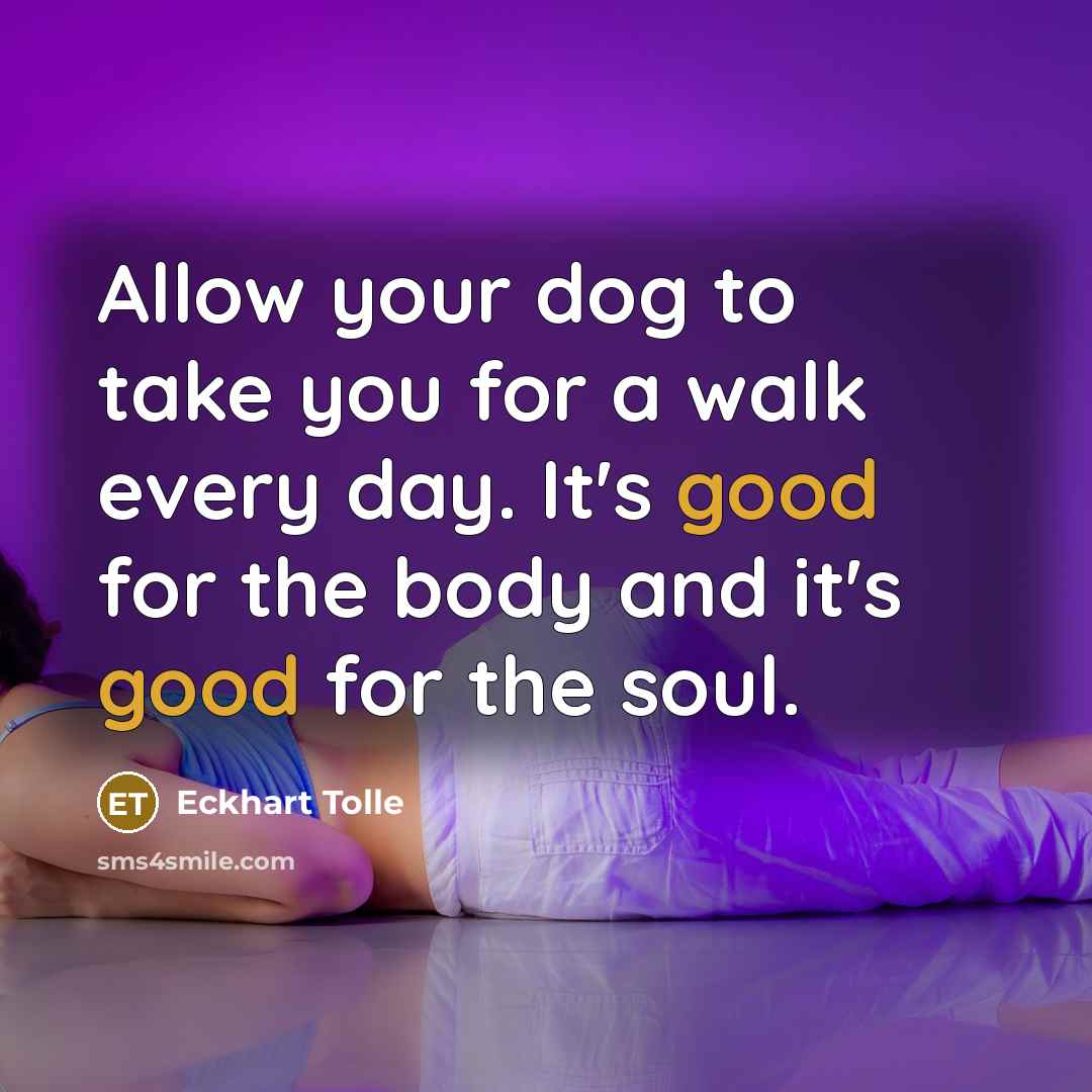 “Allow your dog to take you for a walk every…” quote by Eckhart Tolle