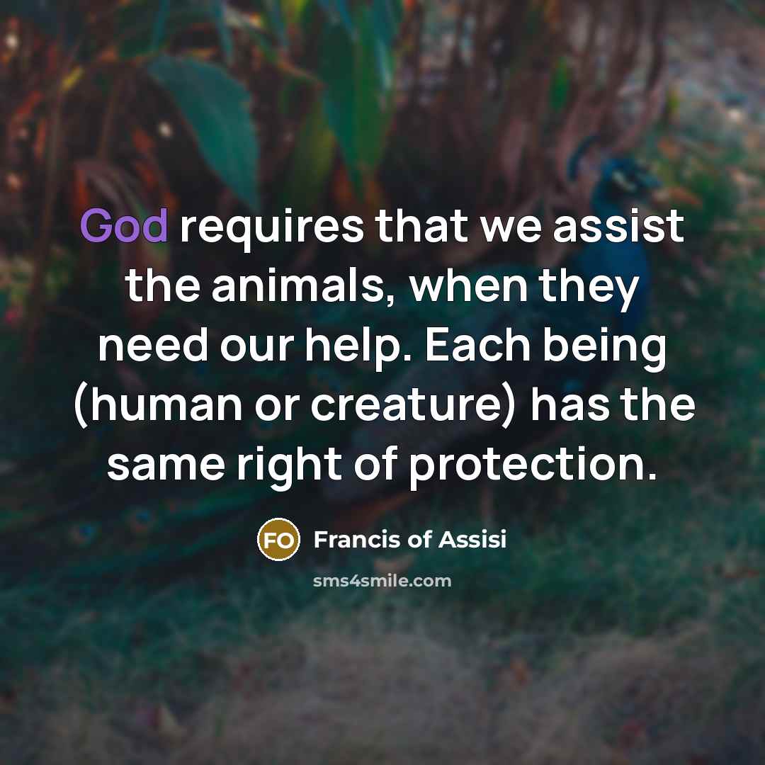 “God requires that we assist the animals, when they need…” quote by Francis of Assisi
