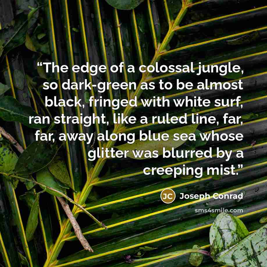 “The edge of a colossal jungle, so dark-green as to be almost black, fringed with white surf, ran straight, like a ruled line, far, far, away along blue sea whose glitter was blurred by a creeping mist.” quote by Joseph Conrad