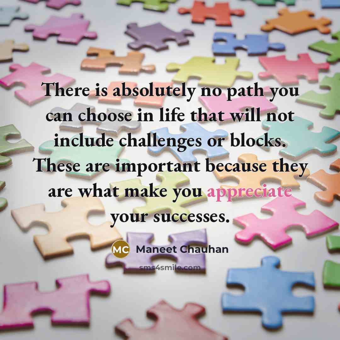 “There is absolutely no path you can choose in life…” quote by Maneet Chauhan