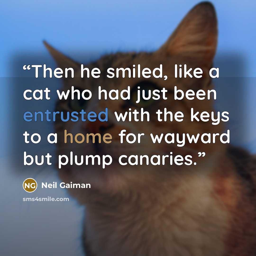 “Then he smiled, like a cat who had just been entrusted with the keys to a home for wayward but plump canaries.” quote by Neil Gaiman