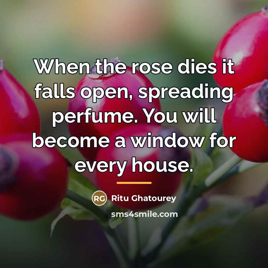 “When the rose dies it falls open, spreading perfume. You…” quote by Ritu Ghatourey