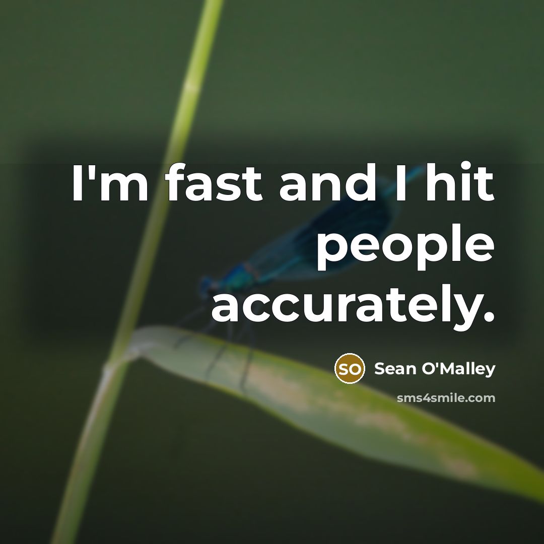 “I'm fast and I hit people accurately.…” quote by Sean O'Malley