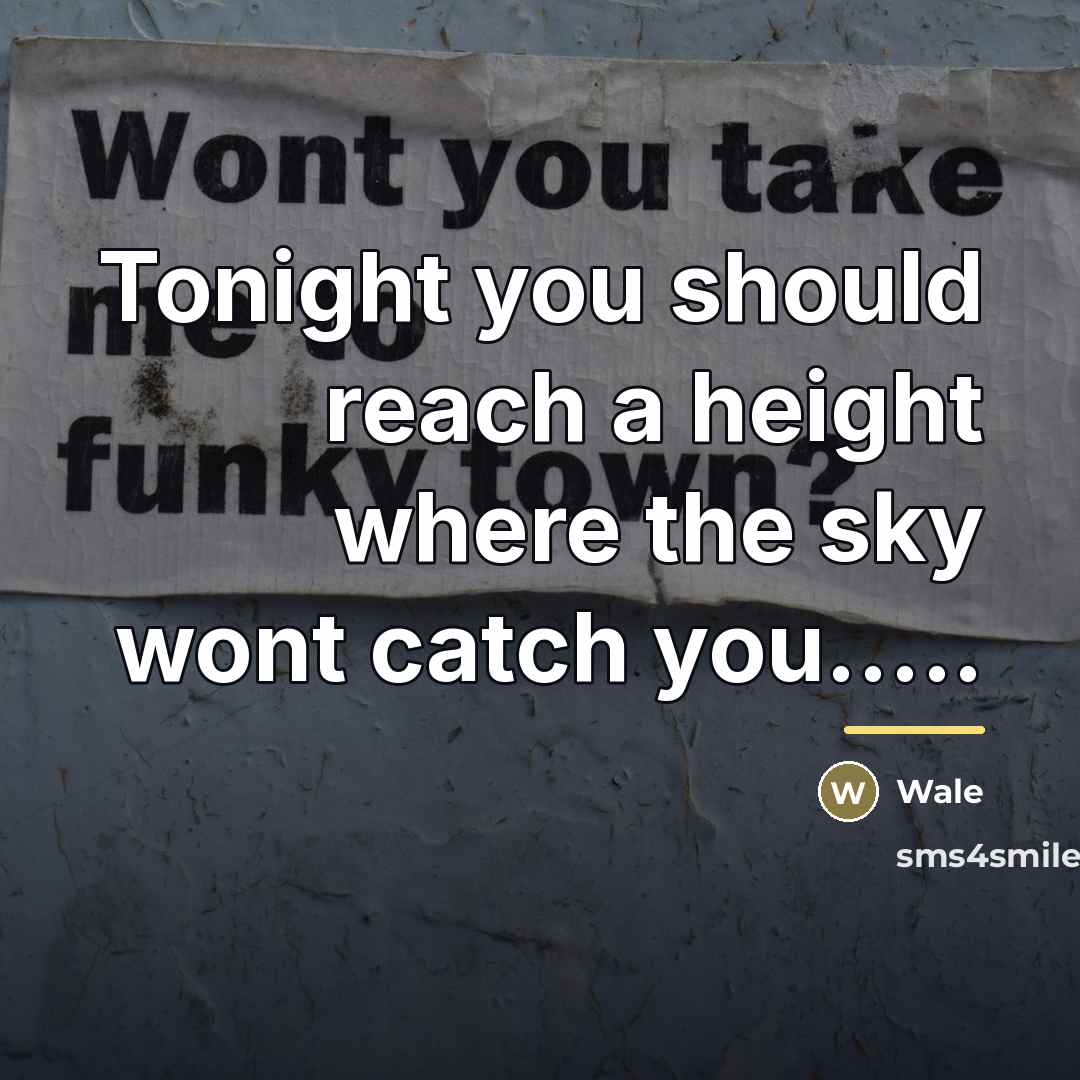 “Tonight you should reach a height where the sky wont…” quote by Wale
