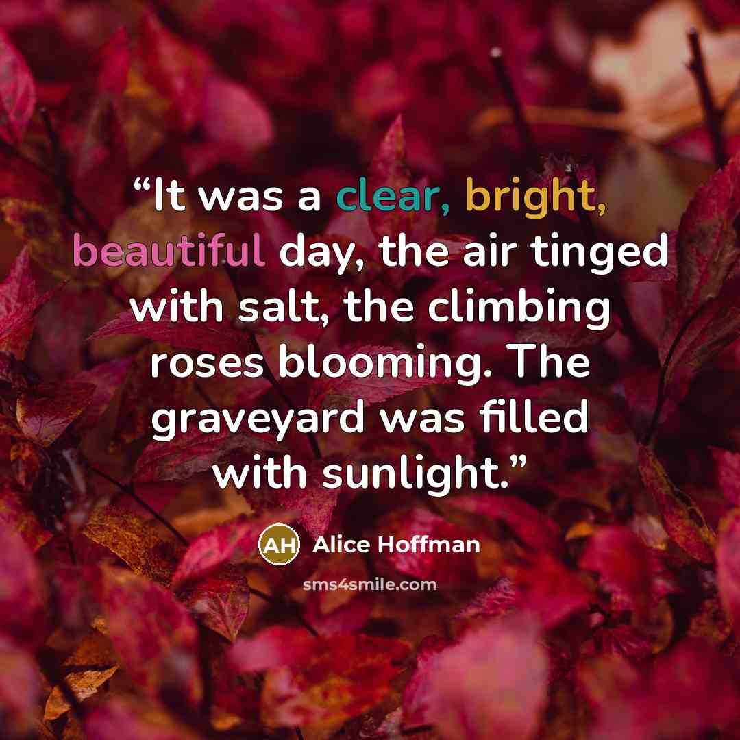 “It was a clear, bright, beautiful day, the air tinged with salt, the climbing roses blooming. The graveyard was filled with sunlight.” quote by Alice Hoffman