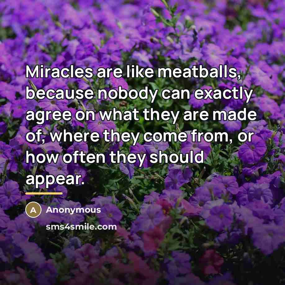 “Miracles are like meatballs, because nobody can exactly agree on…” quote by Anonymous