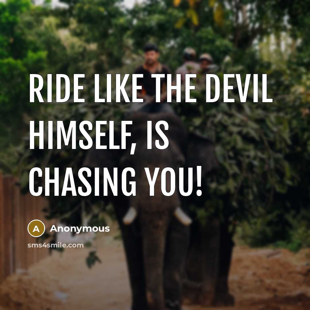 “Ride like the Devil himself, is chasing you!” quote by Anonymous