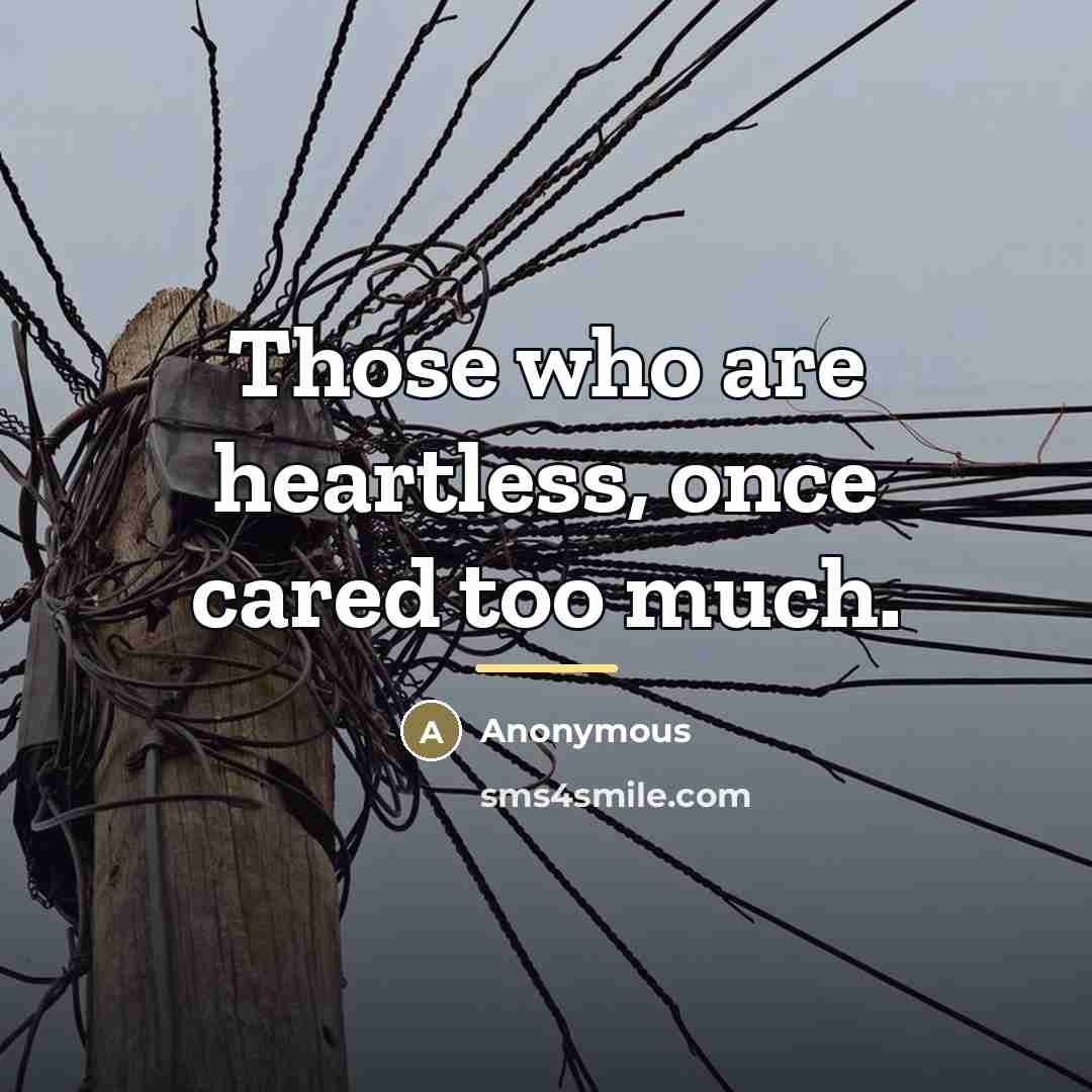 “Those who are heartless, once cared too much.…” quote by Anonymous