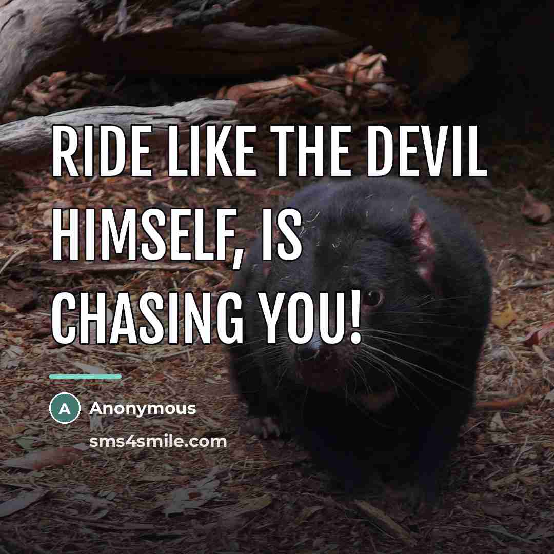“Ride like the Devil himself, is chasing you!…” quote by Anonymous
