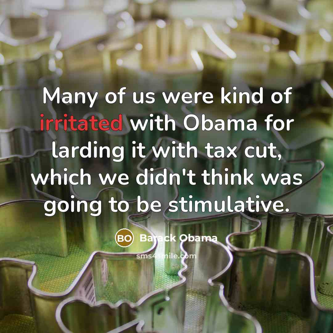 “Many of us were kind of irritated with Obama for…” quote by Barack Obama
