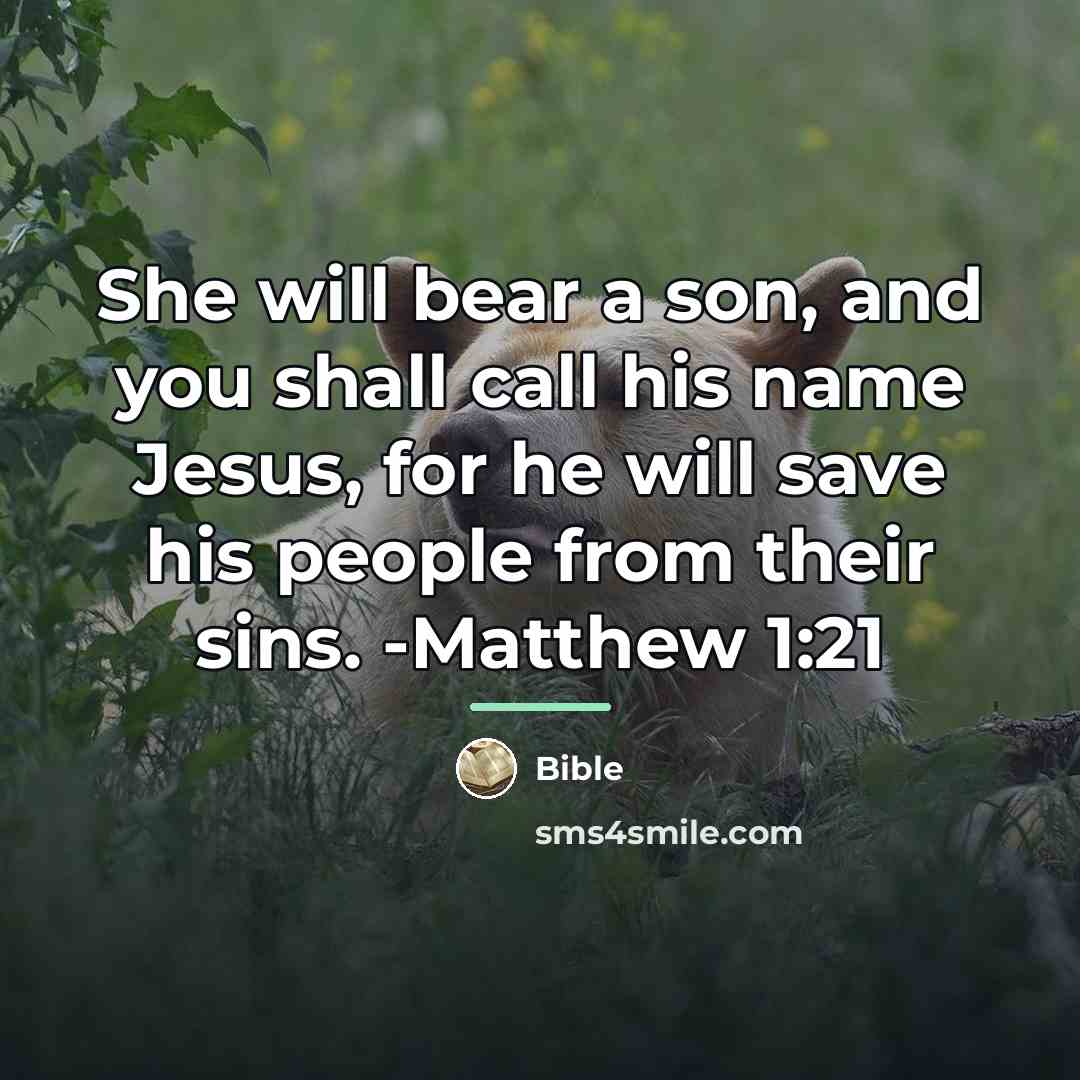 “She will bear a son, and you shall call his…” quote by Bible