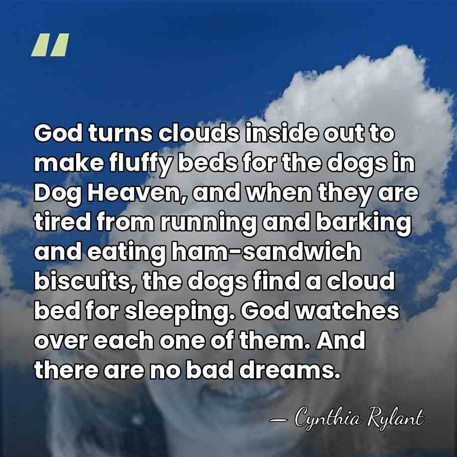 God turns clouds inside out to make fluffy beds for the dogs&hellip; - Cynthia Rylant