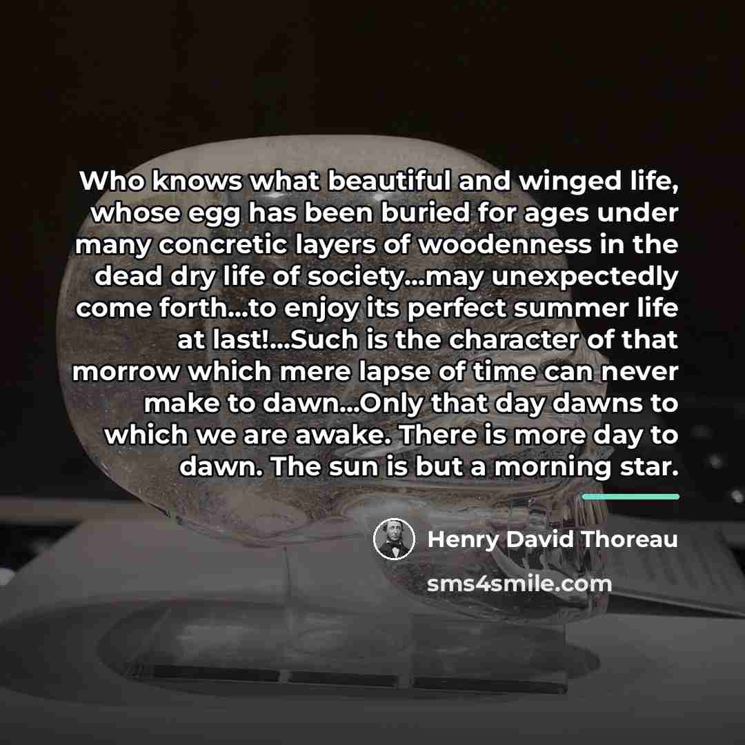 “Who knows what beautiful and winged life, whose egg has…” quote by Henry David Thoreau