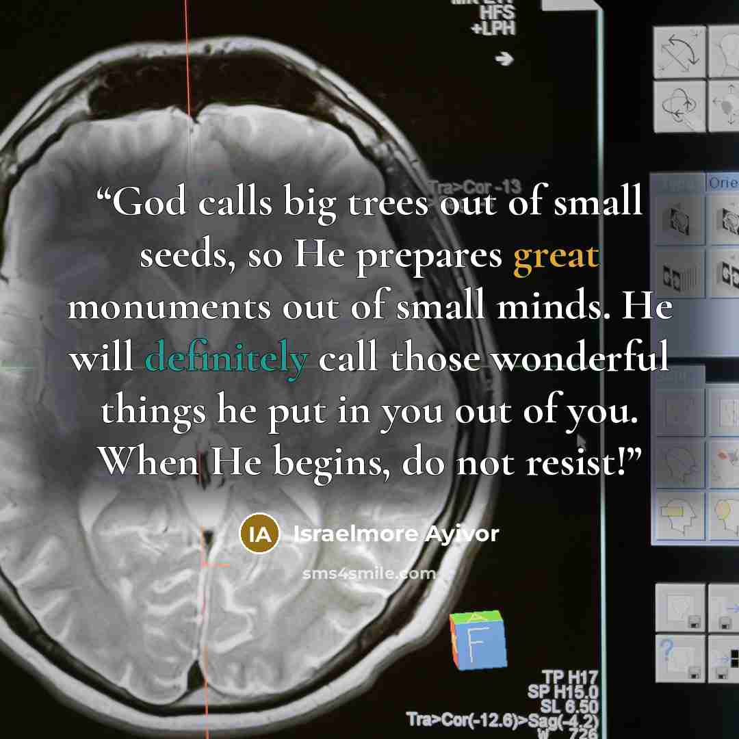 “God calls big trees out of small seeds, so He prepares great monuments out of small minds. He will definitely call those wonderful things he put in you out of you. When He begins, do not resist!” quote by Israelmore Ayivor