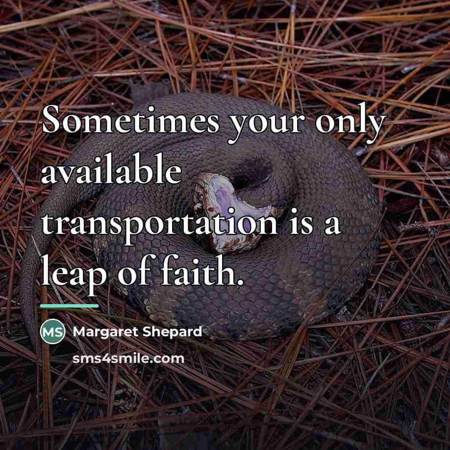 “Sometimes your only available transportation is a leap of faith.…” quote by Margaret Shepard