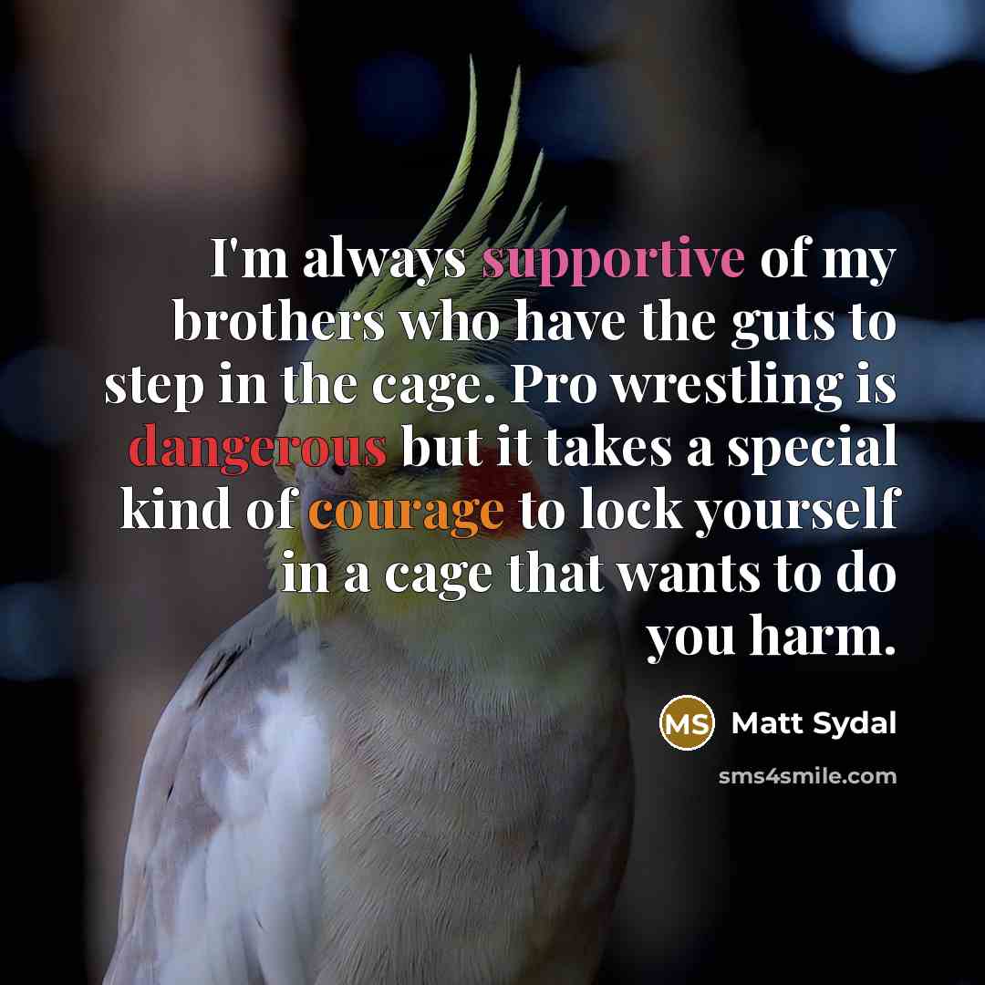 “I'm always supportive of my brothers who have the guts to step in the cage. Pro wrestling is dangerous but it takes a special kind of courage to lock yourself in a cage that wants to do you harm.” quote by Matt Sydal