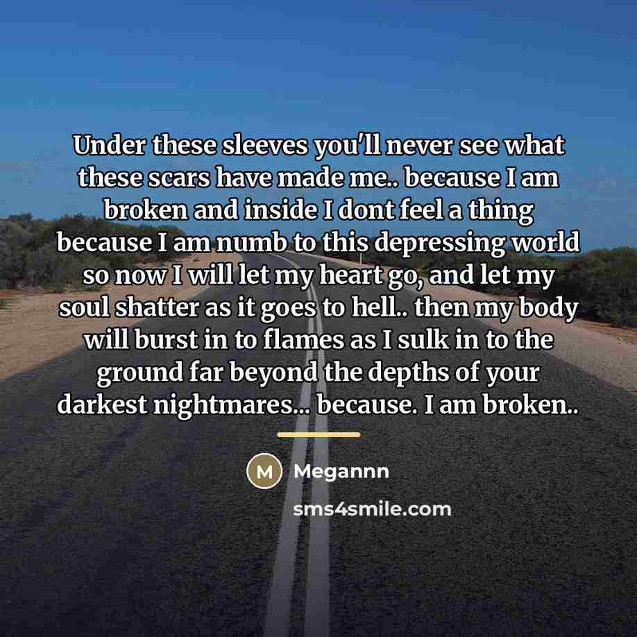 “Under these sleeves you'll never see what these scars have…” quote by Megannn