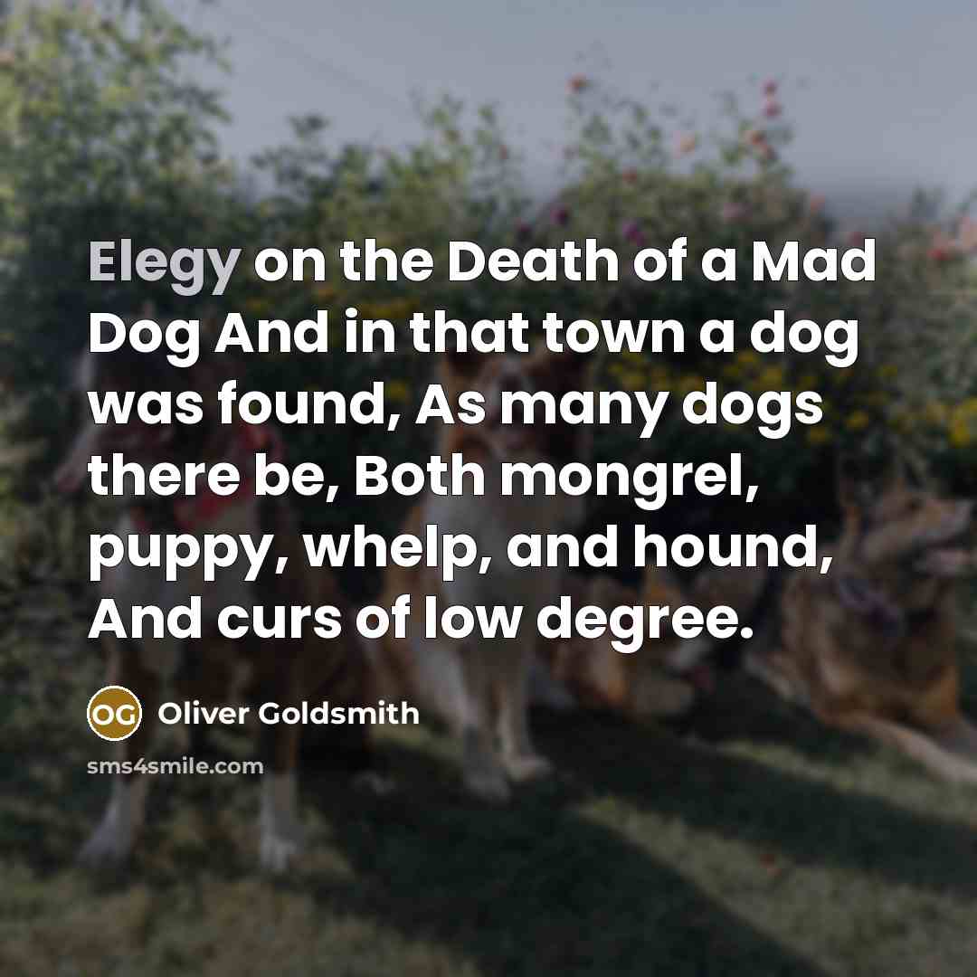 “Elegy on the Death of a Mad Dog And in…” quote by Oliver Goldsmith