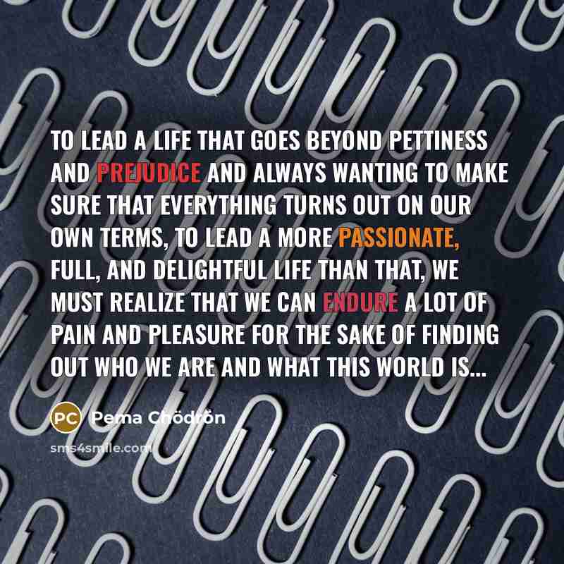 “To lead a life that goes beyond pettiness and prejudice…” quote by Pema Chodron