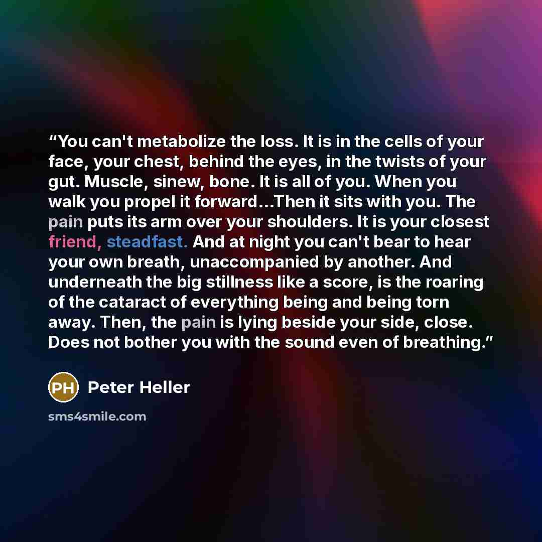 “You can't metabolize the loss. It is in the cells of your face, your chest, behind the eyes, in the twists of your gut. Muscle, sinew, bone. It is all of you. When you walk you propel it forward…Then it sits with you. The pain puts its arm over your shoulders. It is your closest friend, steadfast…” quote by Peter Heller