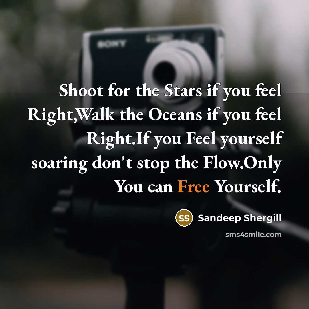 “Shoot for the Stars if you feel Right,Walk the Oceans…” quote by Sandeep Shergill