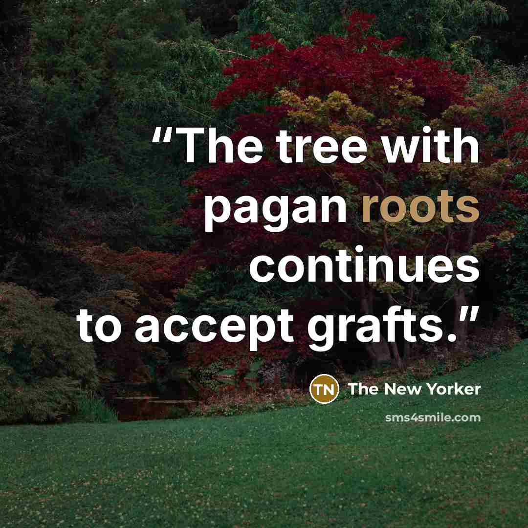 “The tree with pagan roots continues to accept grafts.” quote by The New Yorker