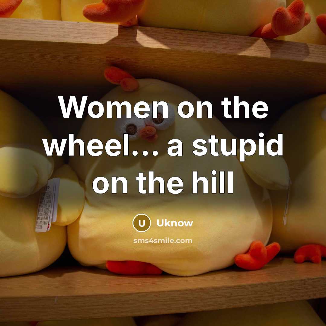 “Women on the wheel... a stupid on the hill…” quote by Uknow