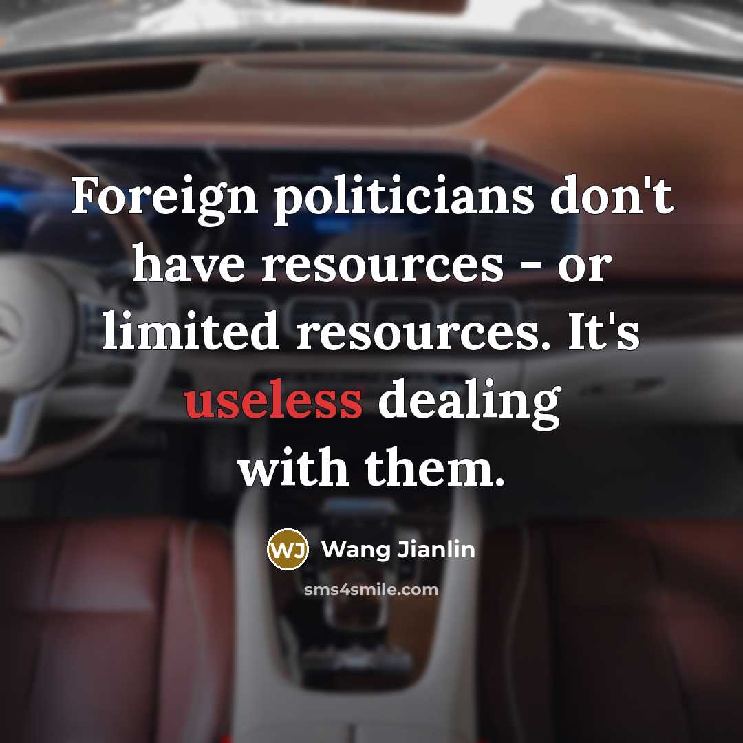 “Foreign politicians don't have resources - or limited resources. It's…” quote by Wang Jianlin