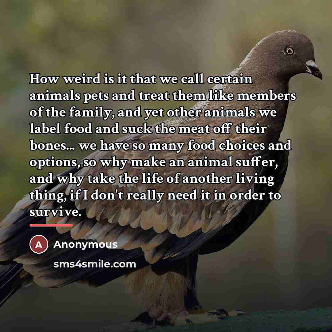 “How weird is it that we call certain animals pets…” quote by Anonymous