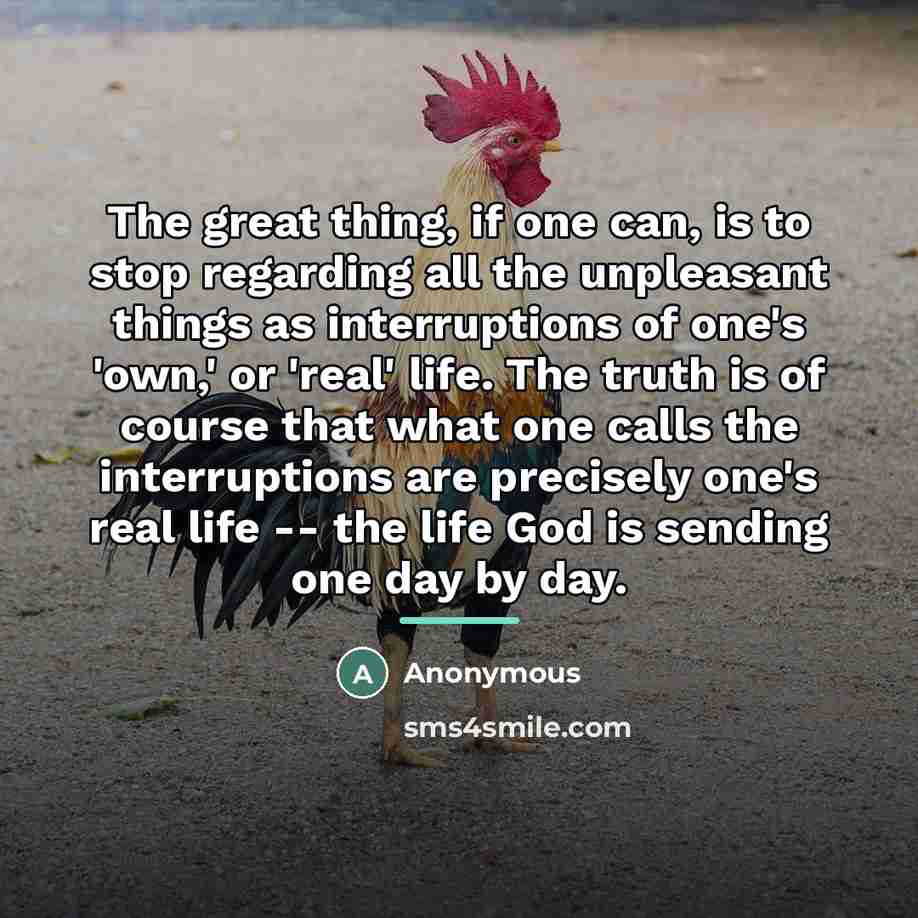 “The great thing, if one can, is to stop regarding…” quote by Anonymous