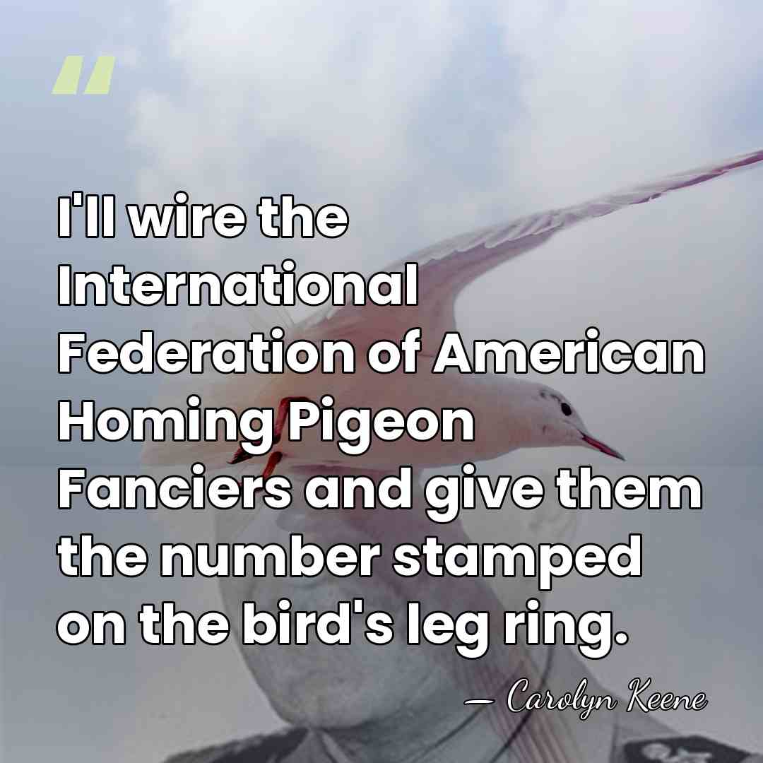 I'll wire the International Federation of American Homing Pigeon Fanciers and give&hellip; - Carolyn Keene