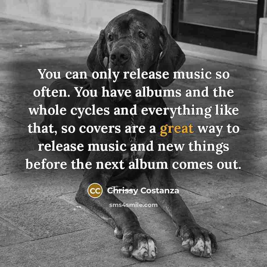 “You can only release music so often. You have albums…” quote by Chrissy Costanza