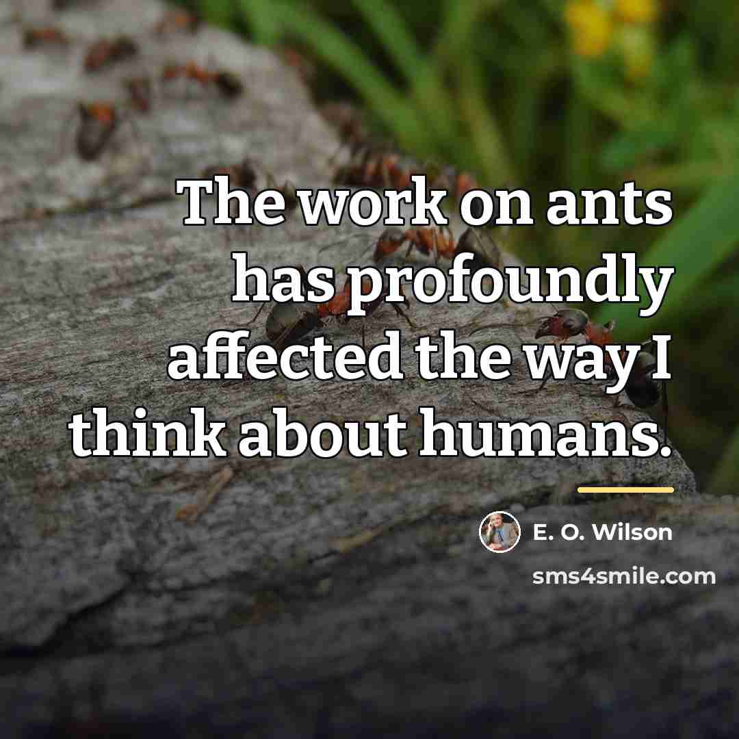 “The work on ants has profoundly affected the way I…” quote by E. O. Wilson