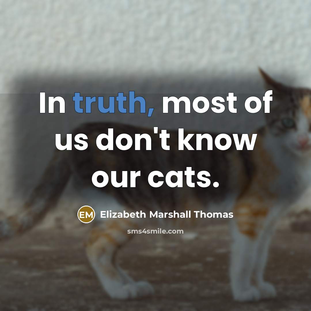“In truth, most of us don't know our cats.…” quote by Elizabeth Marshall Thomas
