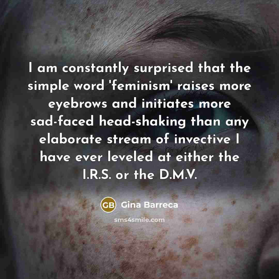 “I am constantly surprised that the simple word 'feminism' raises…” quote by Gina Barreca