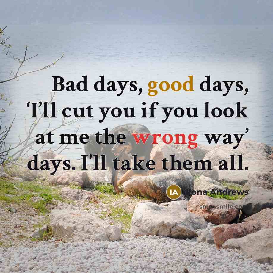“Bad days, good days, ‘I’ll cut you if you look…” quote by Ilona Andrews