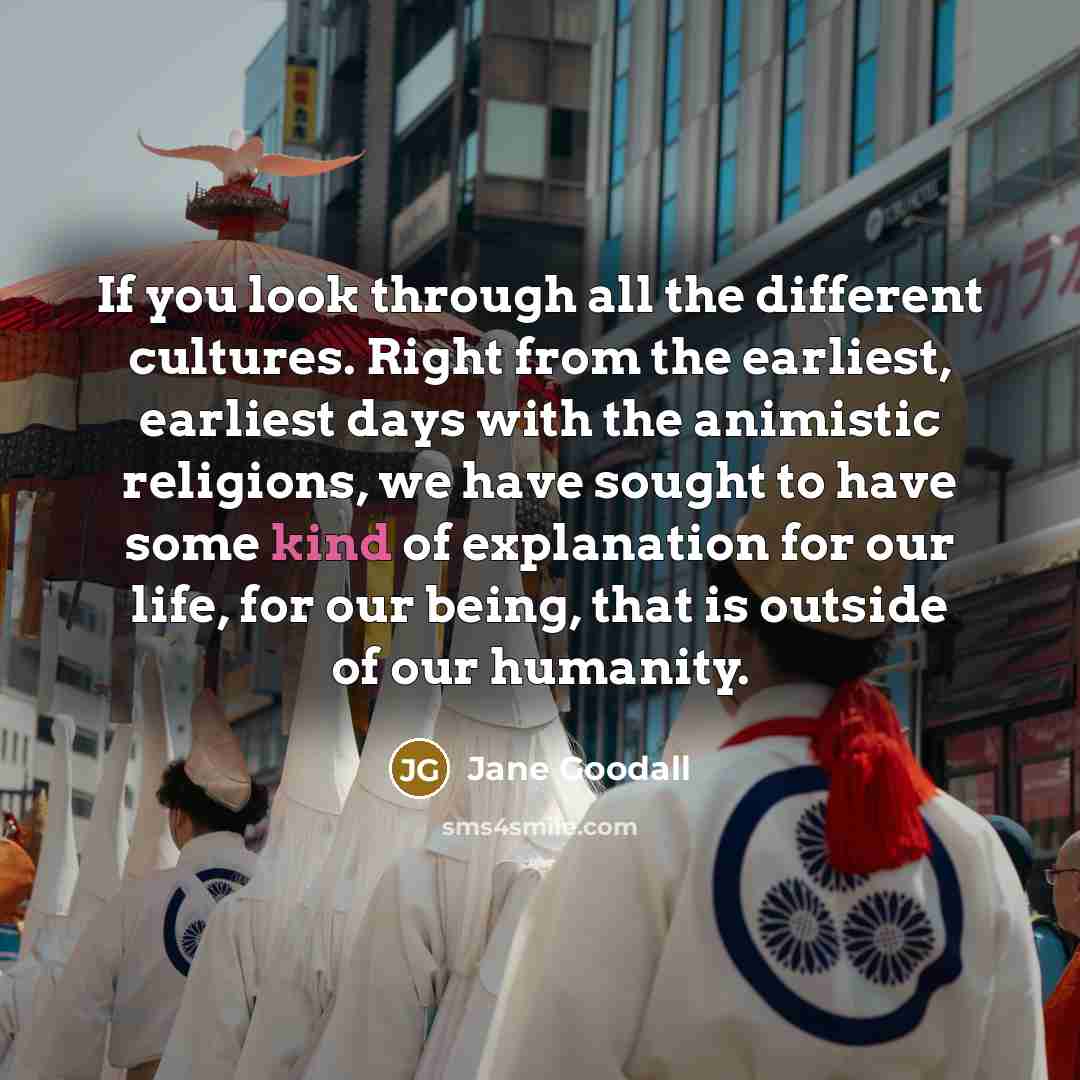 “If you look through all the different cultures. Right from…” quote by Jane Goodall