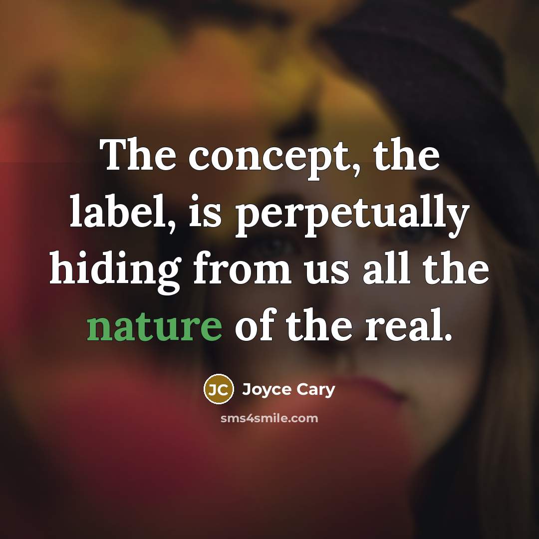 “The concept, the label, is perpetually hiding from us all…” quote by Joyce Cary