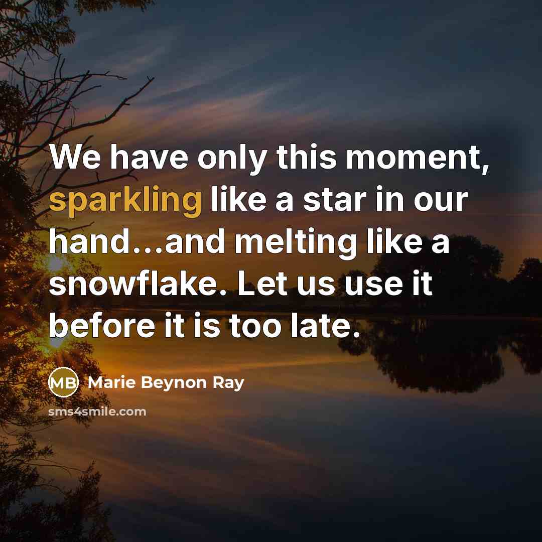 “We have only this moment, sparkling like a star in our hand...and melting like a snowflake. Let us use it before it is too late.” quote by Marie Beynon Ray
