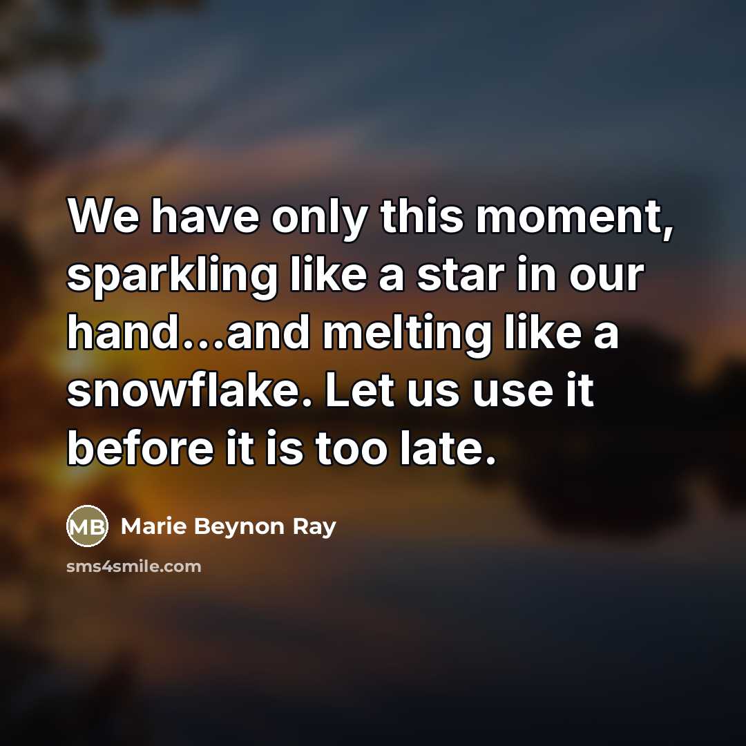 “We have only this moment, sparkling like a star in our hand...and melting like a snowflake. Let us use it before it is too late.” quote by Marie Beynon Ray